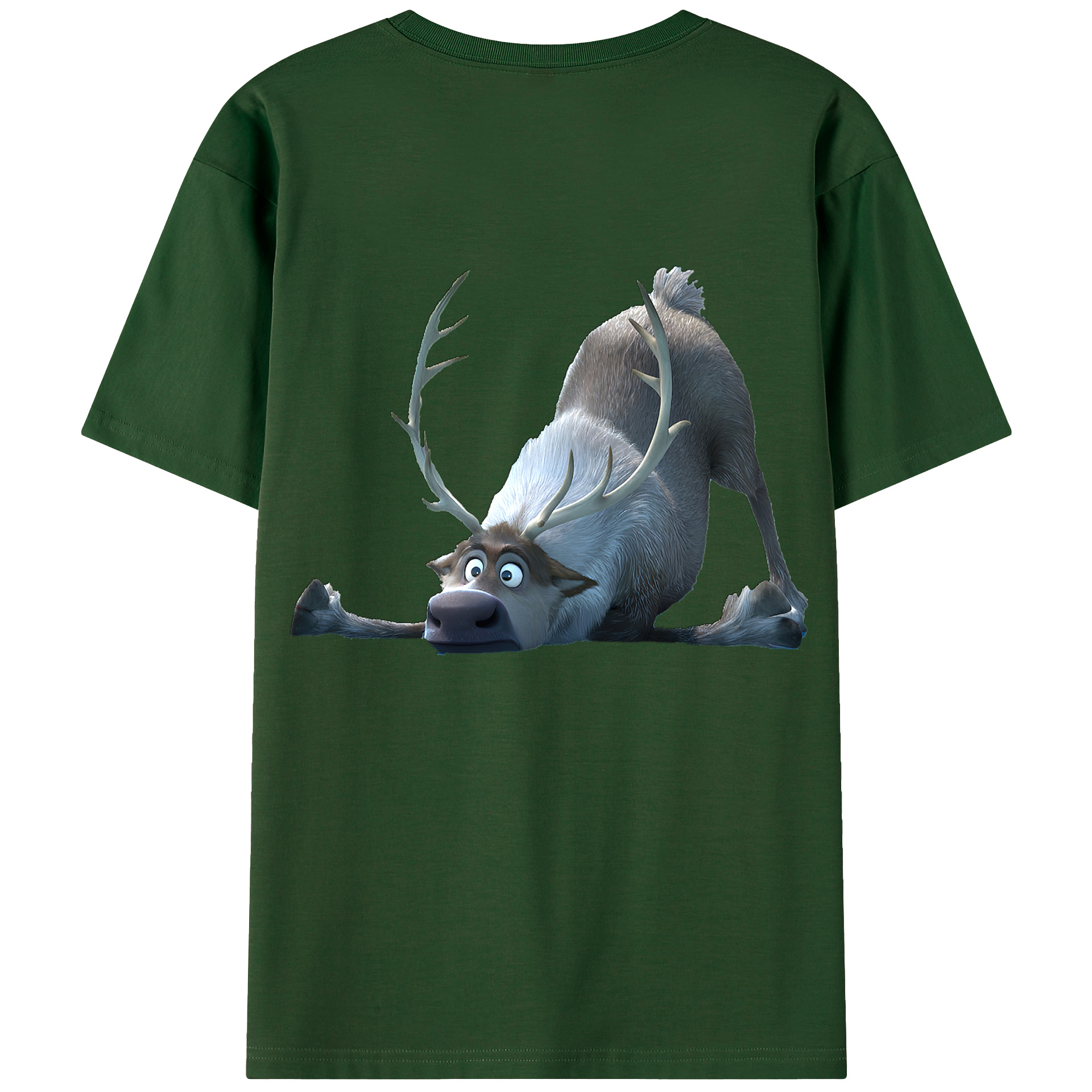 （画像用） アナと雪の女王 アンナ エルサ Frozen Anna Elsa 綿100％半袖Tシャツ（背面プリント）